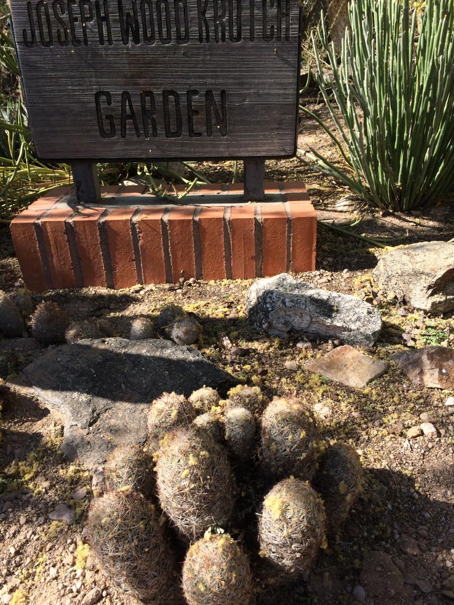 New mammallaria plants lead to the JWG sign.