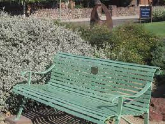 bench