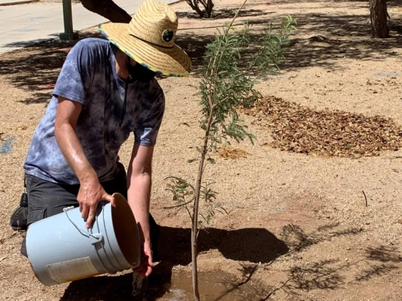 Peter planting a tree for an Arbor Day 2021 event. 