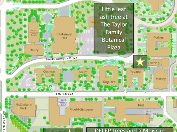 keith tree map
