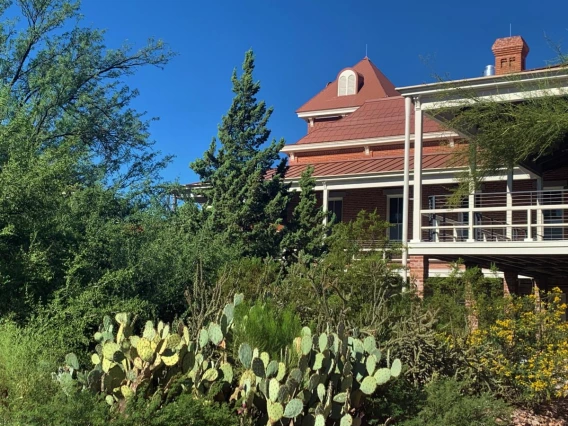 Plant diversity around Old Main