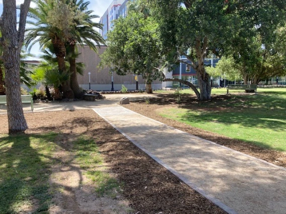 Work in progress on the pond by the UA Grounds Services Staff.