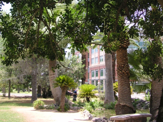 Photo of the pond from ~1990 - 2000