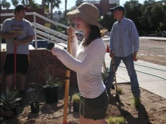 Arbor Day 2010