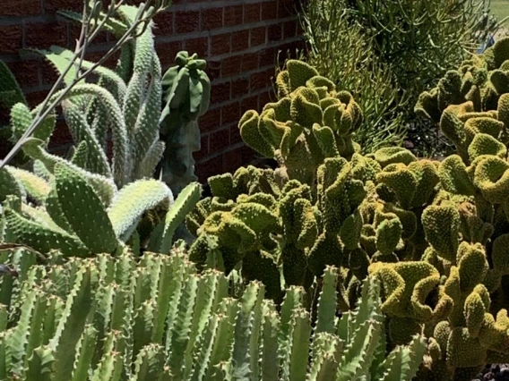 2021 Coral