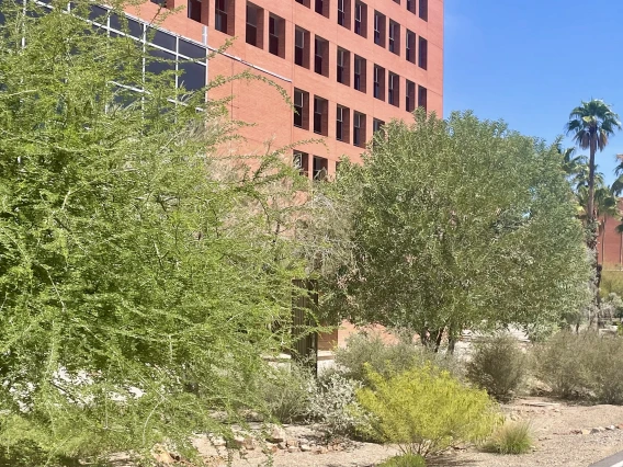 Resilience Garden