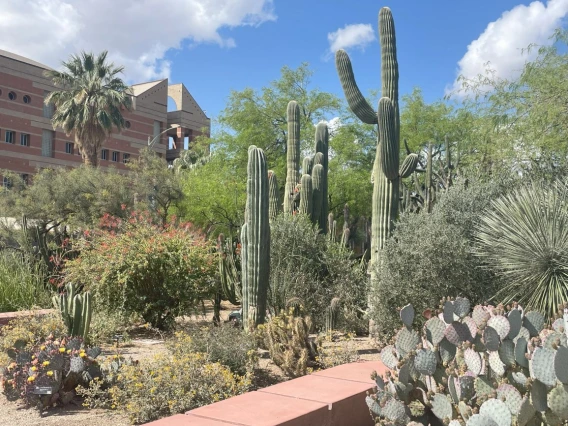 Krutch Garden