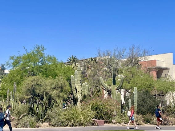 Krutch Garden