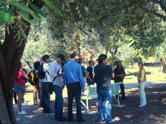 Guided Tour in Olive Walk