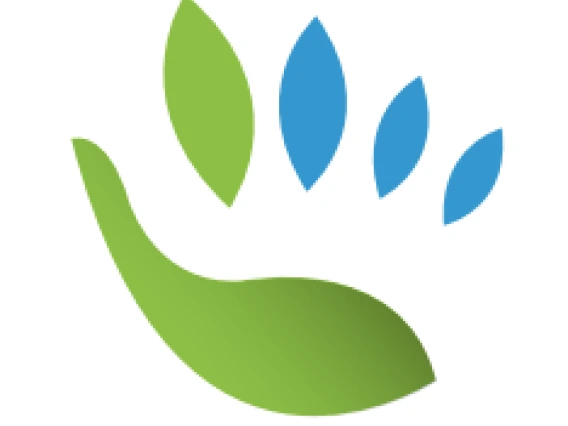 Witness Tree Icon