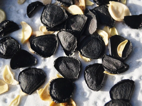 Yucca elata seed