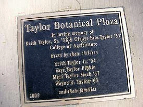 Taylor Plaque