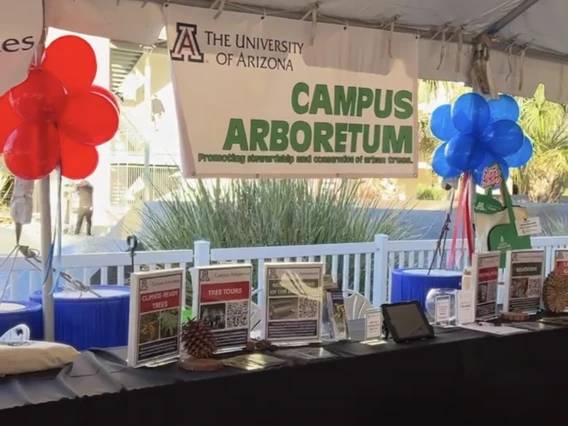 Homecoming Booth 2025 Balloons