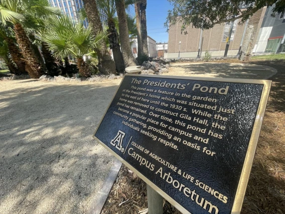 The bronze interpretive plaque installed at the top of the entry path Summer 2023.