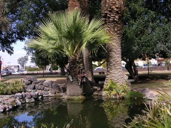 Photo of the pond from ~1990 - 2000