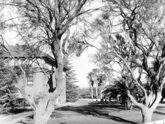 1932. A section of campus, looking then much like the campus of today.