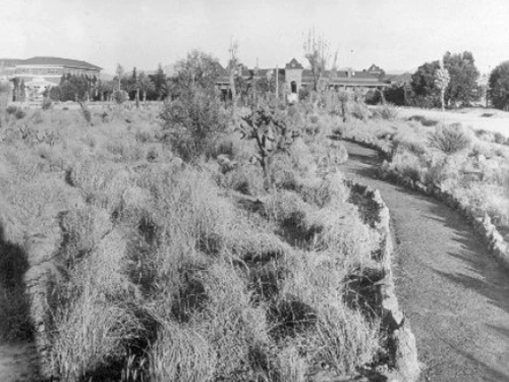 1932. The mall as a grassland.