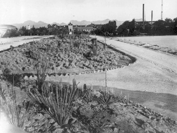 1932. Farther back, a view of the expansive mall from what is now the Krutch Garden.