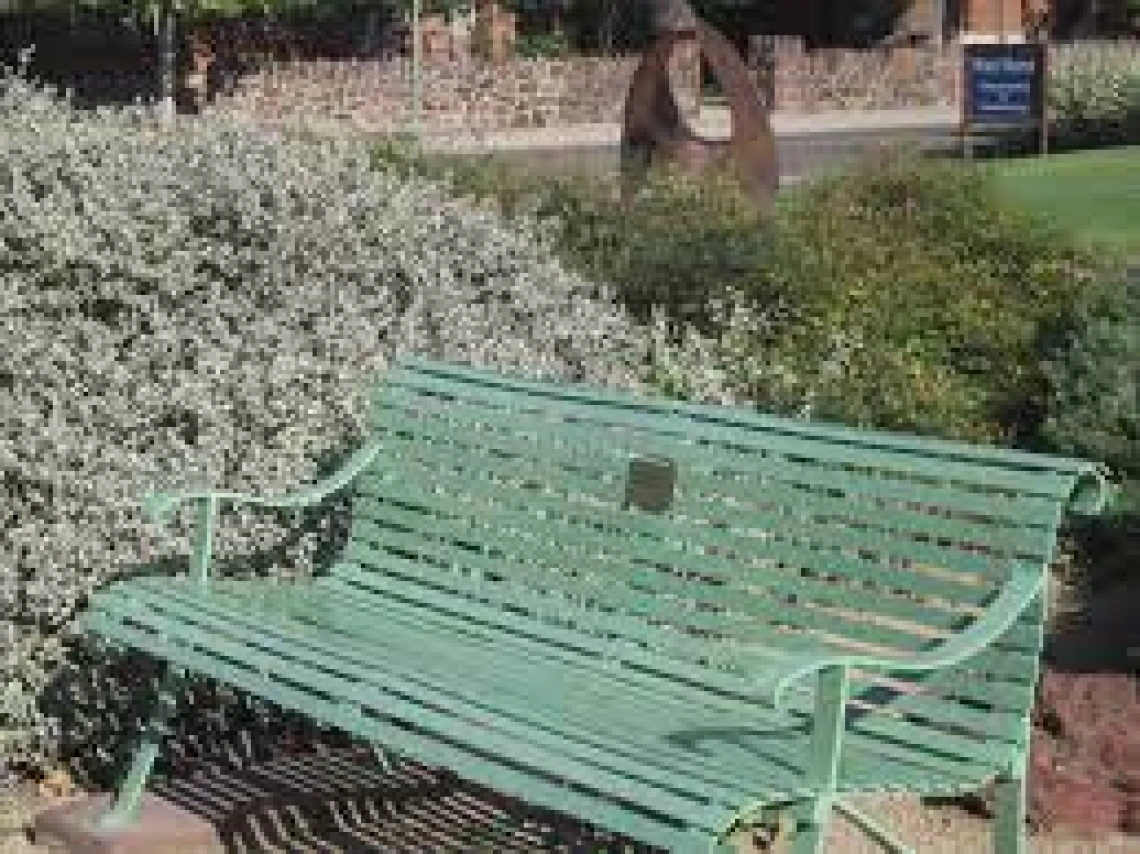 bench
