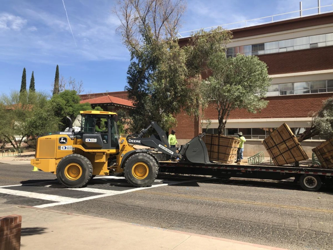 The monumental task of unloading the boxed trees on campus begins!
