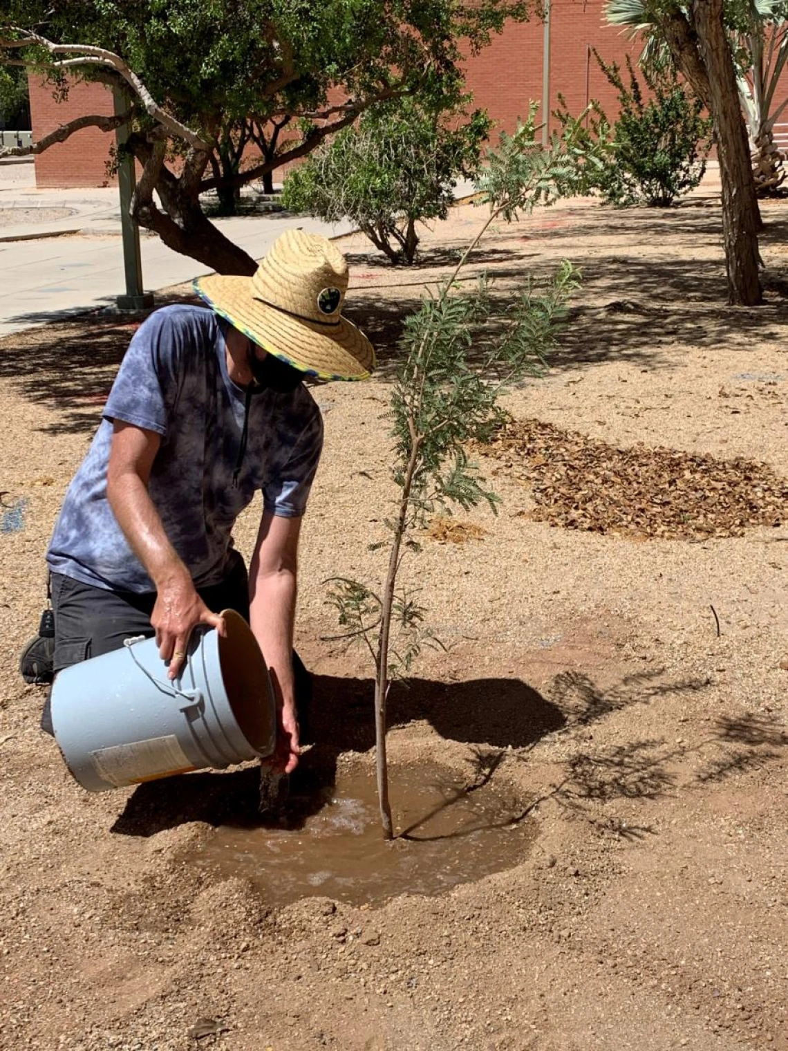 Peter planting a tree for an Arbor Day 2021 event. 