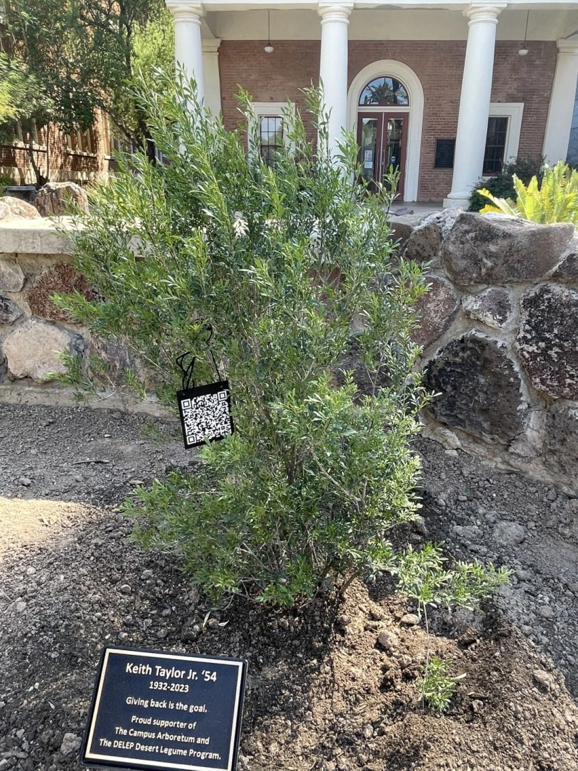 keith tree site