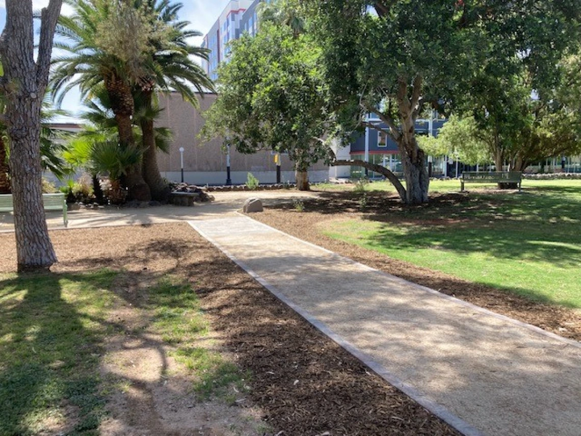 Work in progress on the pond by the UA Grounds Services Staff.