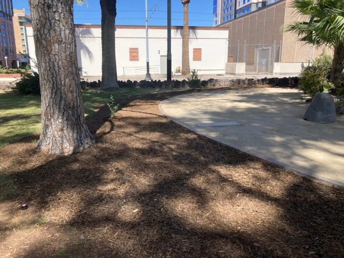 Work in progress on the pond by the UA Grounds Services Staff.