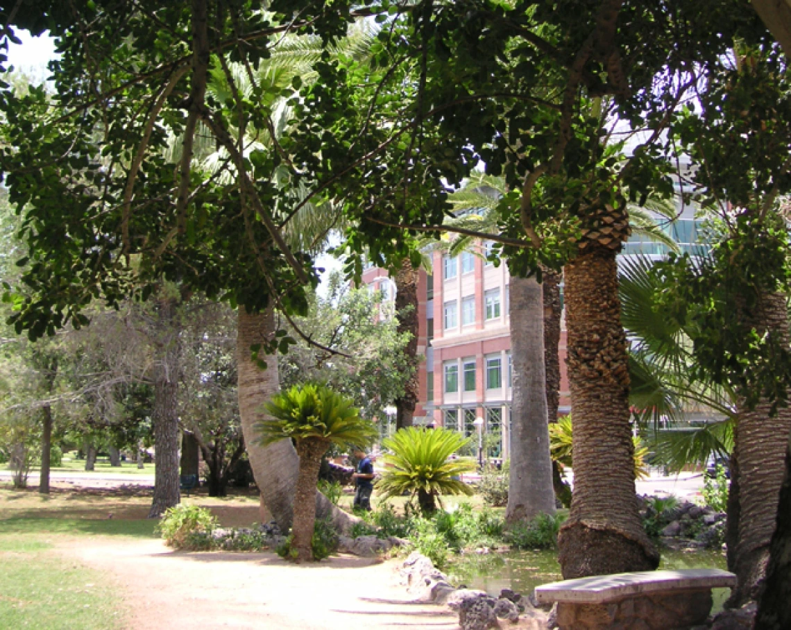 Photo of the pond from ~1990 - 2000