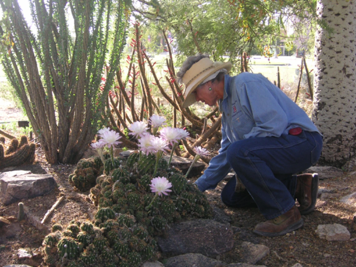 nancy working in the garden