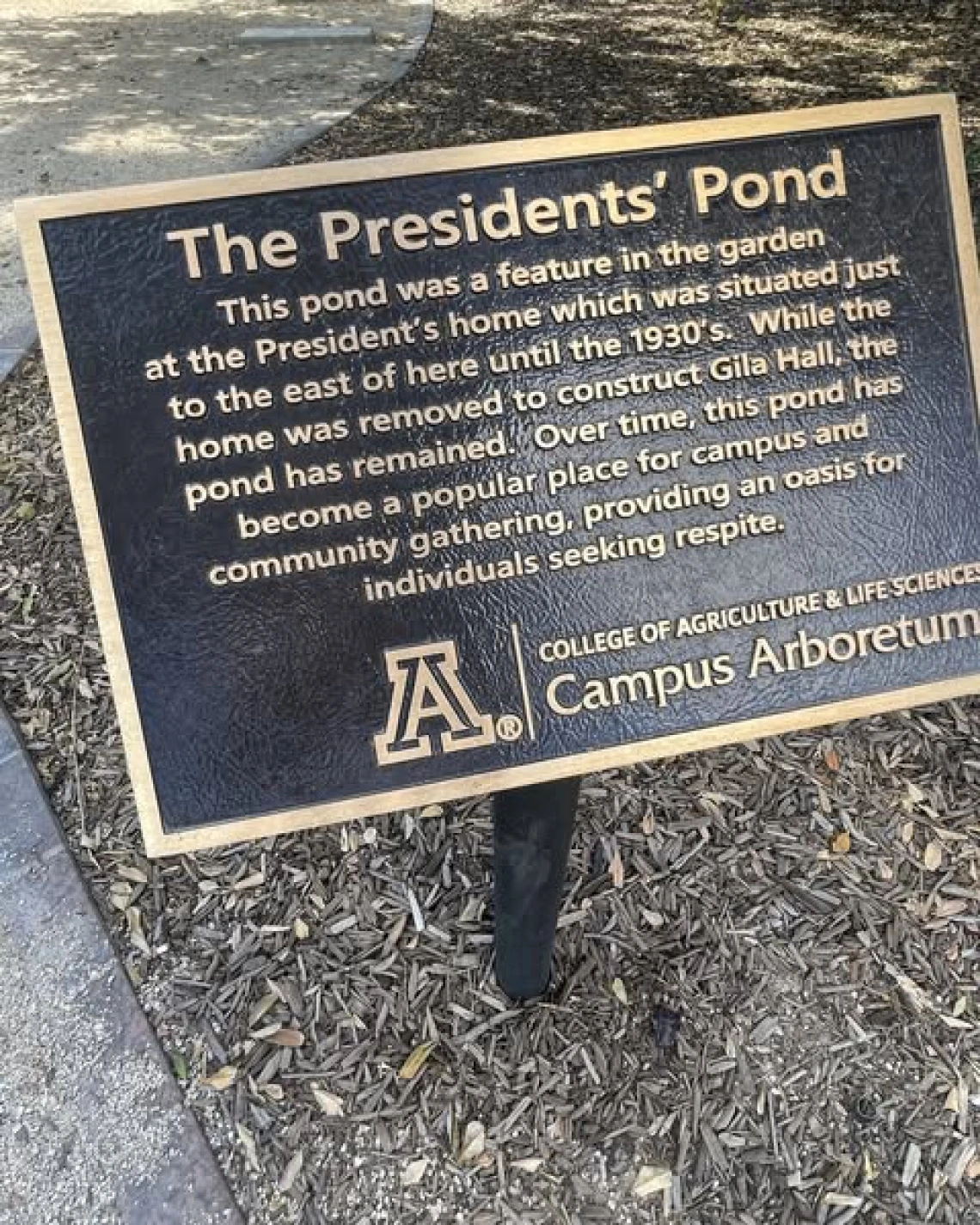 pond bronze