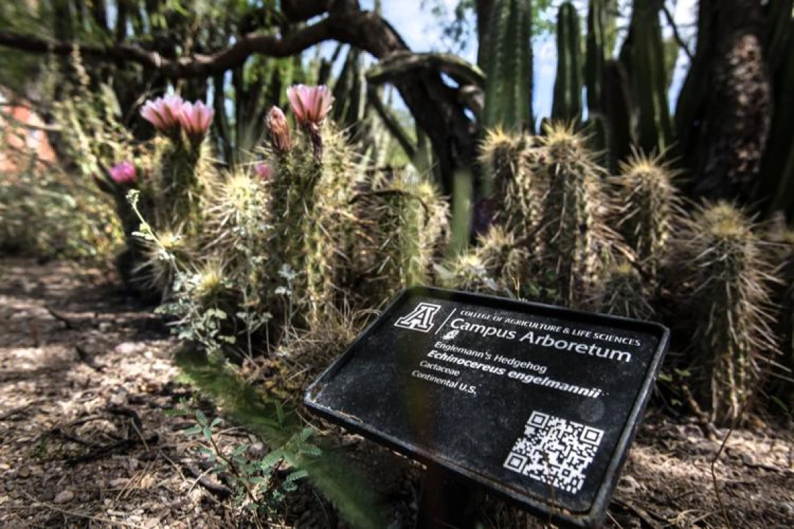 Arboretum Sign in Krutch Garden