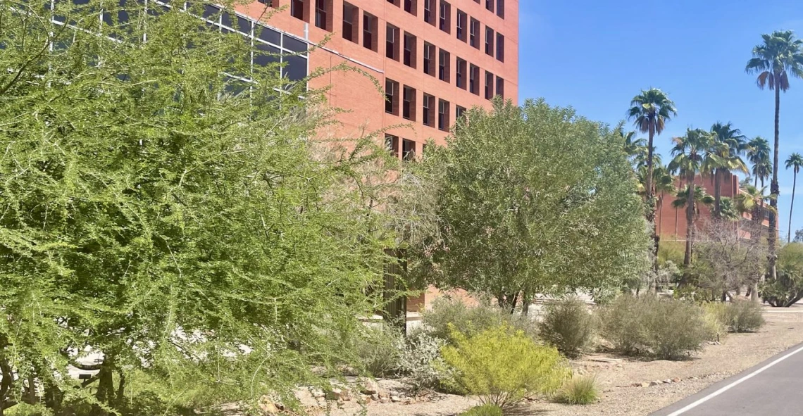 Resilience Garden