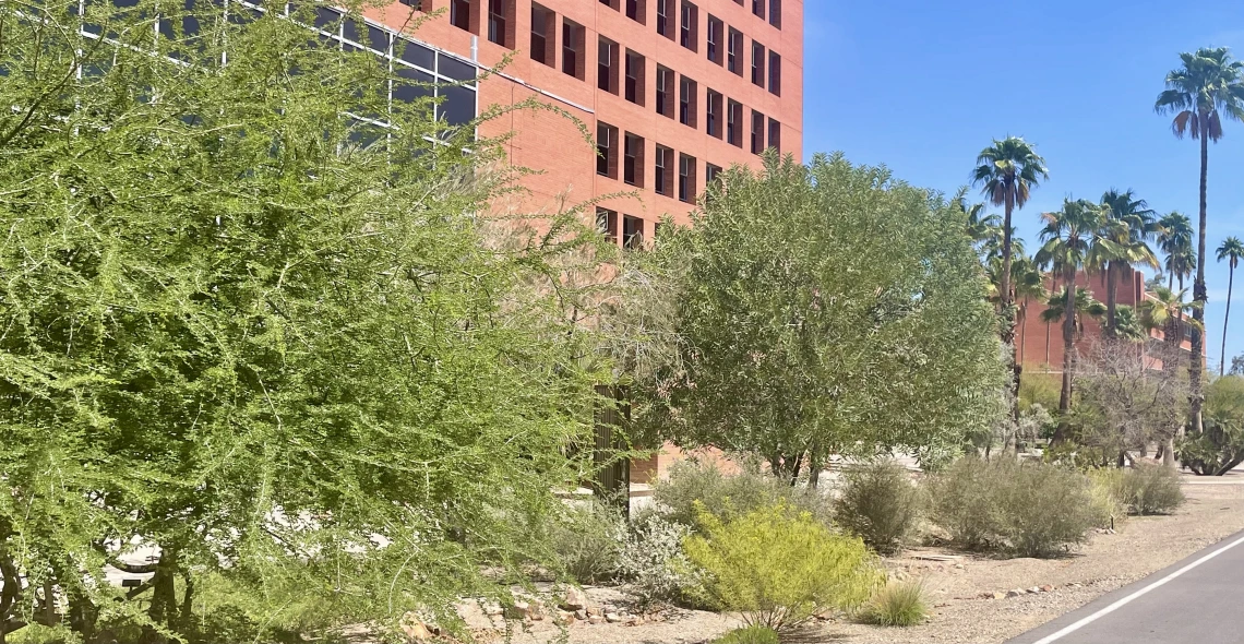 Resilience Garden