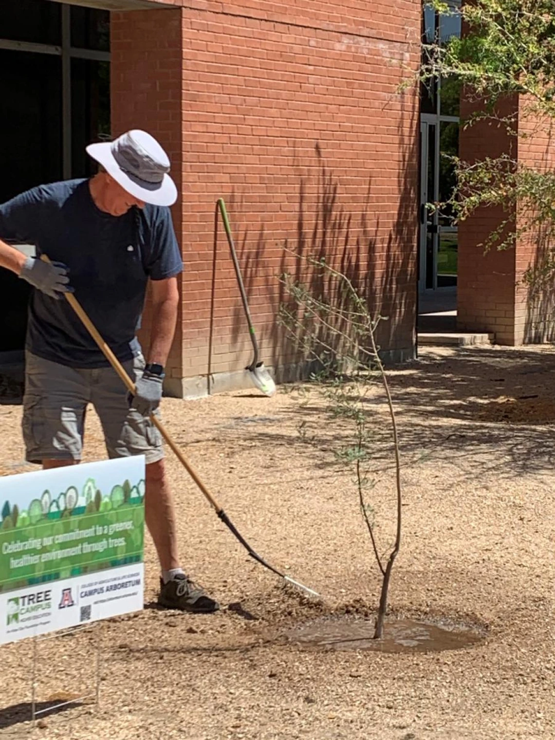 Peter Arbor Day