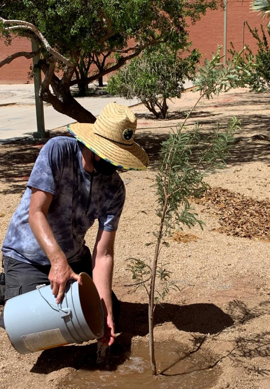 Peter Price Arbor Day