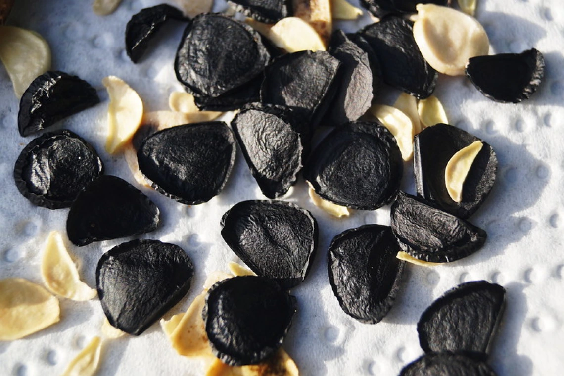 Yucca elata seed
