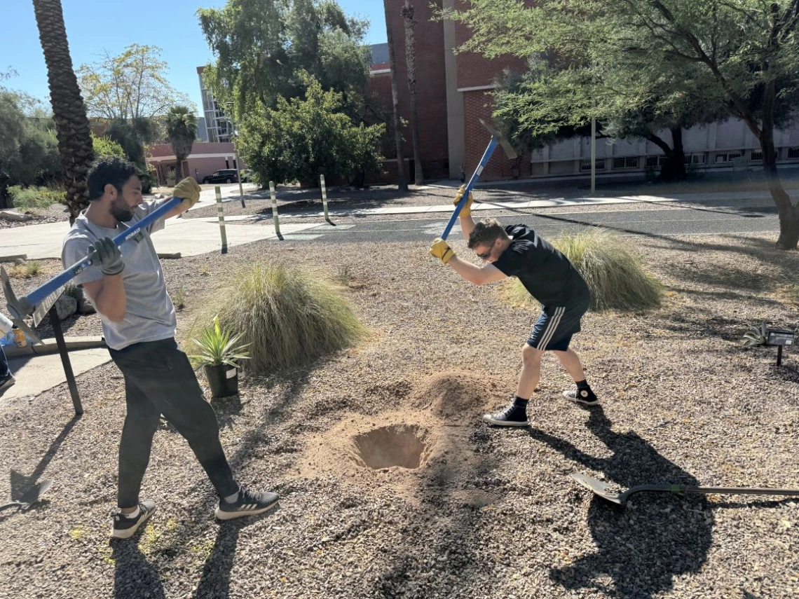 volunteers