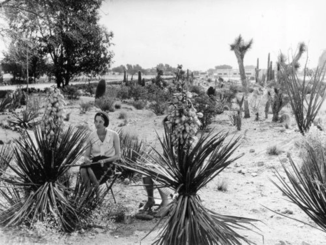 1931. Art class in the mall, then a cactus garden