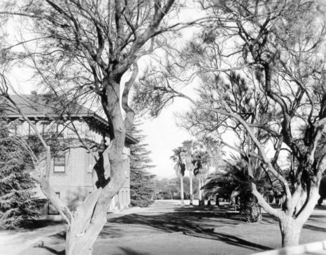 1932. A section of campus, looking then much like the campus of today.
