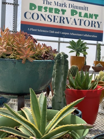 Conservatory Banner