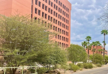 The Resilience Garden houses top performing tree species rescued from a university research plot before its sale.