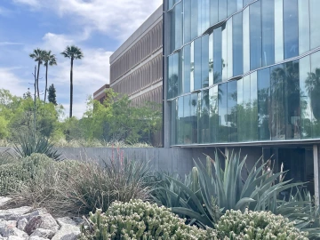 An array of diverse plants surrounding the UA's Meinel Optical Sciences Building