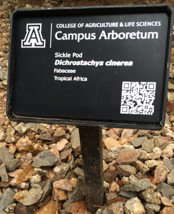 QR Code Botanical Sign
