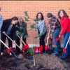 Moon Tree Planting